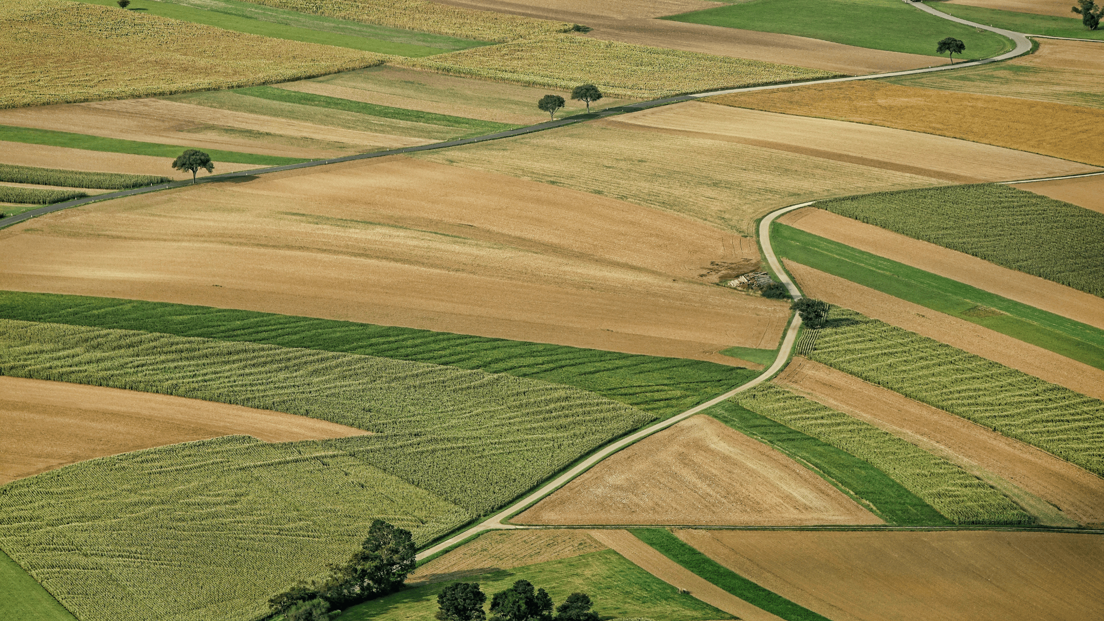 Infortunio sul Lavoro Agricoltura